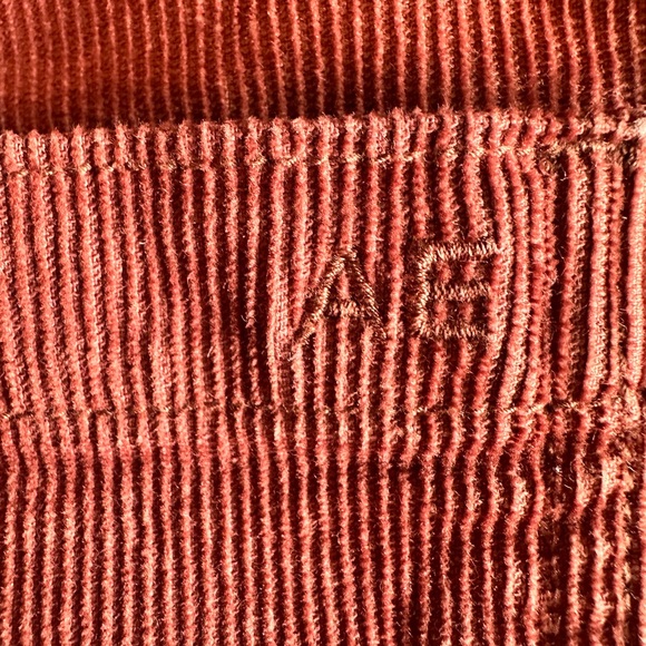 American Eagle Outfitters Rust Mini Corduroy Skirt - Picture 5 of 9